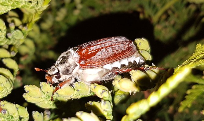Trotz K&auml;lte (Foto: Peter M&ouml;bius)
