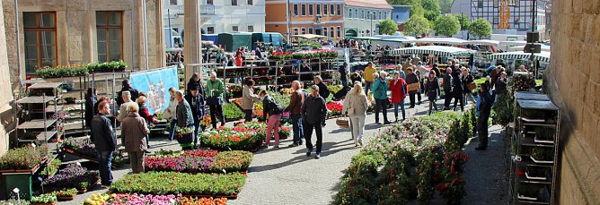 Ansturm auf Sondersh&auml;user Blumen-, Pflanzen- und Staudenmarkt (Foto: Karl-Heinz Herrmann)