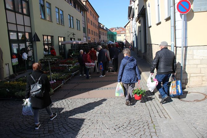 Ansturm auf Sondersh&auml;user Blumen-, Pflanzen- und Staudenmarkt (Foto: Karl-Heinz Herrmann)