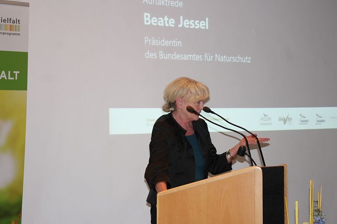 Mittel zum Schutz der Mopsfledermaus (Foto: Karl-Heinz Herrmann)