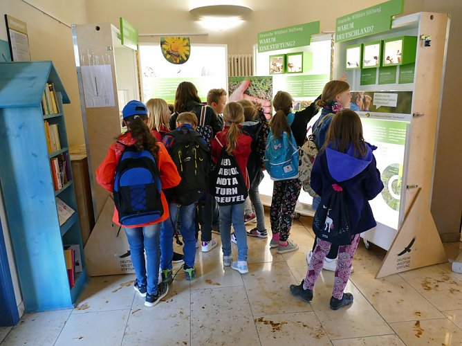 Grundsch&uuml;ler besuchten Wanderausstellung zum Rotmilan (Foto: Landratsamt Kyffh&auml;userkreis)