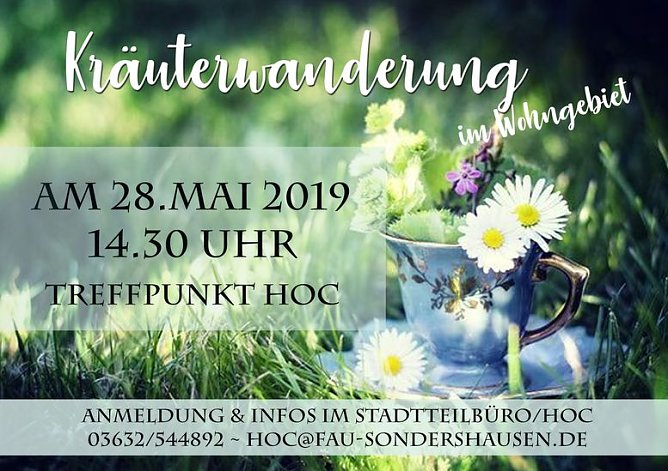 Kr&auml;uterzeit im HOC (Foto: Katrin Sieber & Susanne Stadermann)