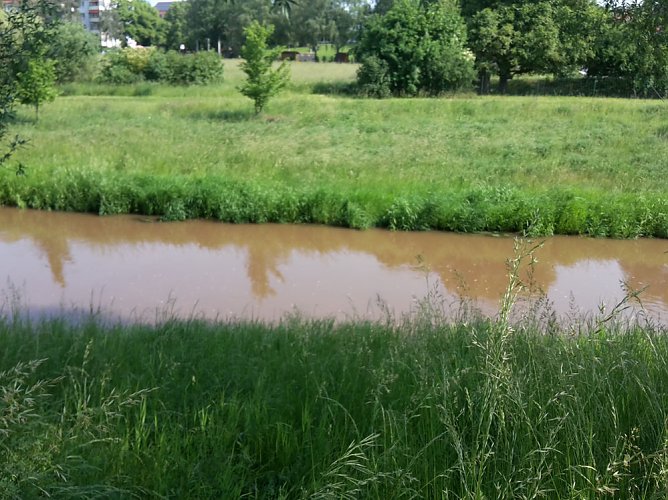 Gl&uuml;ck gehabt (Foto: Karl-Heinz Herrmann)