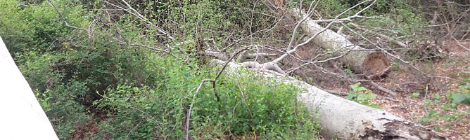 Wie sieht es denn hier aus? (Foto: Karl-Heinz Herrmann)