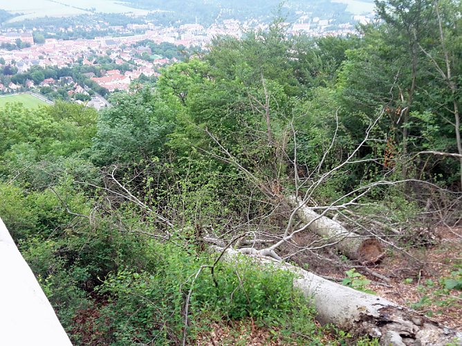 Wie sieht es denn hier aus? (Foto: Karl-Heinz Herrmann)