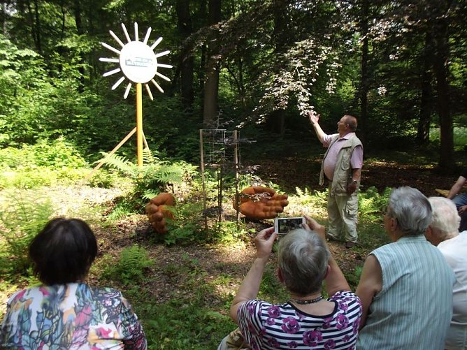 WB 4 Exkursion zur Mutterblutbuche (Foto: Thomas Leipold)