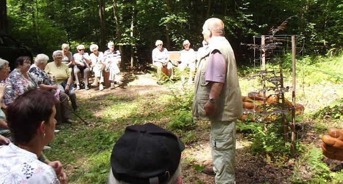 WB 4 Exkursion zur Mutterblutbuche (Foto: Thomas Leipold)