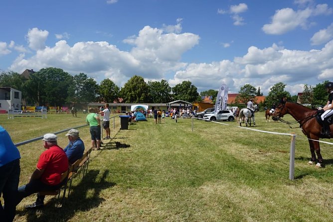 +++ Reitturnier 2019 +++ (Foto: Enzo H&ouml;land)