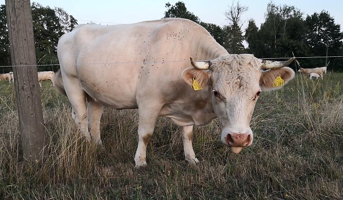 Wetterbild (Foto: privat)