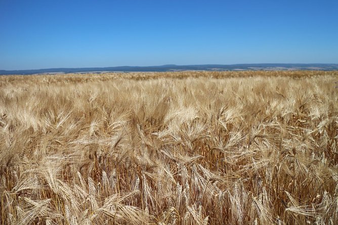 Wetterbild (Foto: Angelo Glashagel)