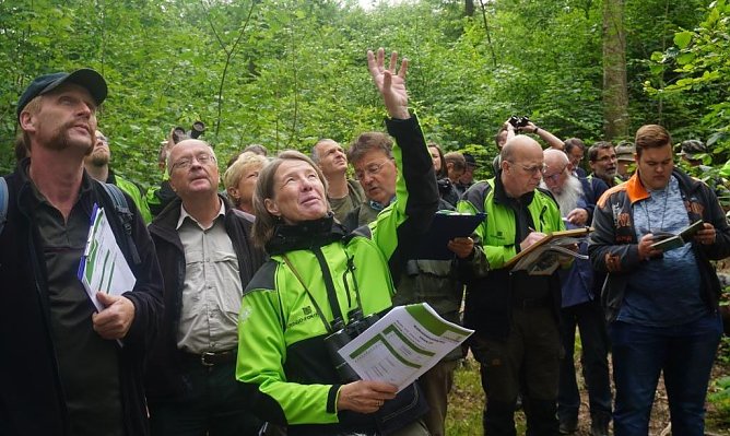 Th&uuml;ringenForst f&uuml;hrt Schulungen zur landesweiten Waldzustandserhebung durch (Foto: Th&uuml;ringenForst)