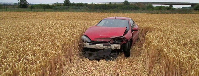 Kein Bett im Kornfeld (Foto: API)