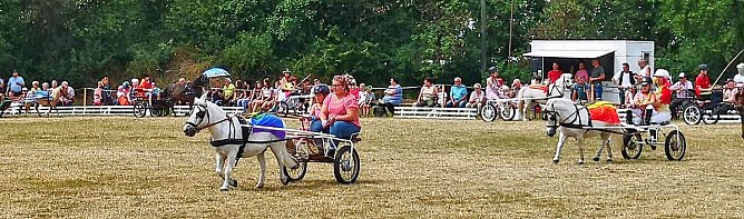 Gro&szlig;es Ponyfest Gro&szlig;enehrich (Foto: Stefan Schard)