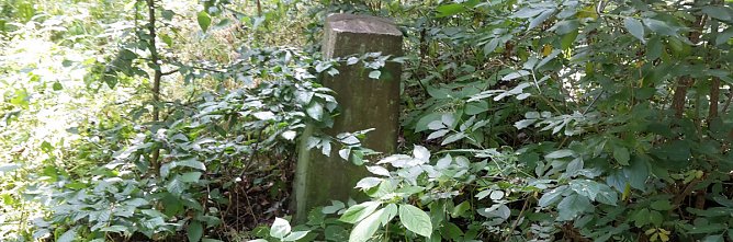Geschichte vergammelt im Wald (Foto: Karl-Heinz Herrmann)