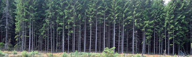 Gru&szlig; aus Sondershausen? (Foto: Karl-Heinz Herrmann)