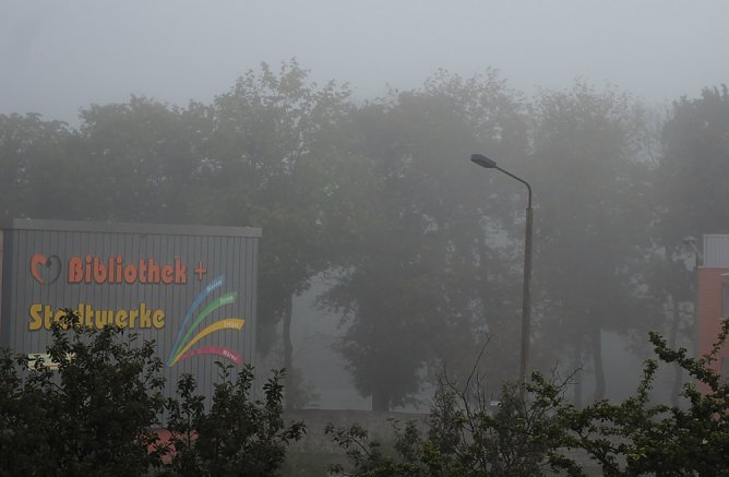 Herbstnebel und Trockenheit bleibt (Foto: privat)