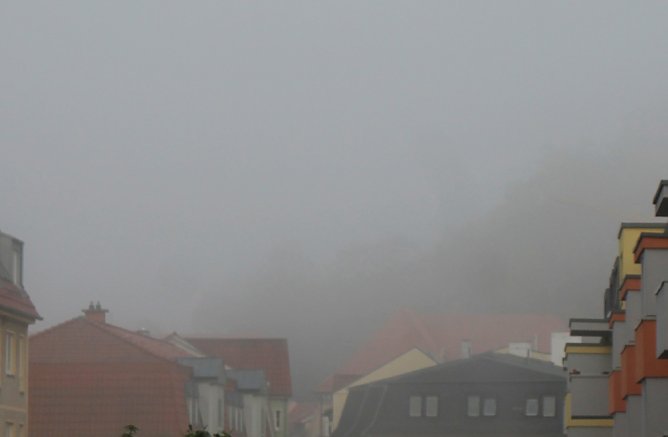 Herbstnebel und Trockenheit bleibt (Foto: privat)