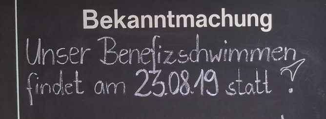 Benefizschwimmen im Greussener Freibad (Foto: privat)