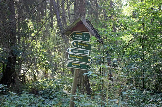 Wie gef&auml;hrlich wird unser Wald? (Foto: Karl-Heinz Herrmann)