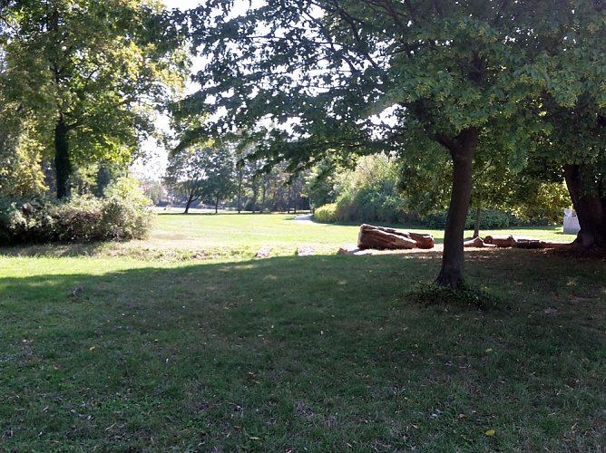 Wie mehr f&uuml;r, Insekten und Umwelt tun? (Foto: Karl-Heinz Herrmann)