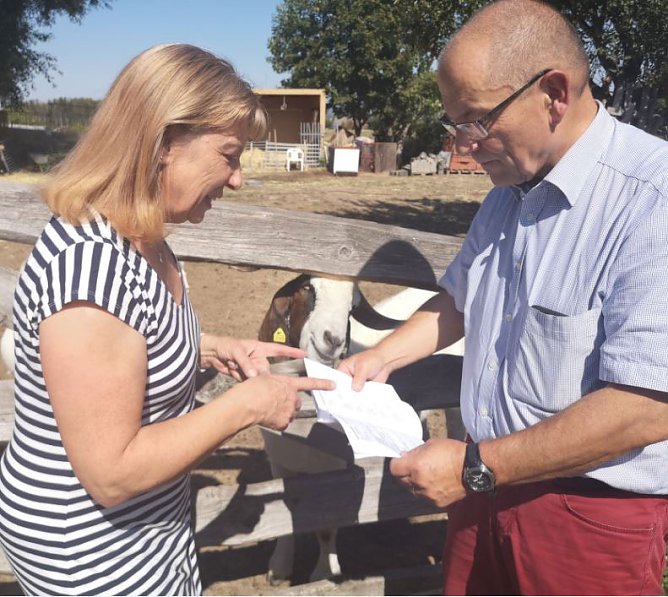 Hilfe f&uuml;r Katzen-Quarant&auml;ne-Station (Foto: Wahlkreisb&uuml;ro)