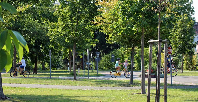 Vereinsjugend verbrachte tollen Tag (Foto: Karl-Heinz Herrmann)