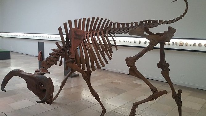 Eine Reise in die Vergangenheit (Foto: Dorothea Kieper)