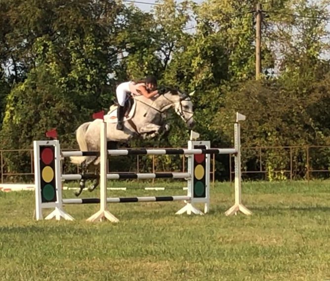 Dressur- uns Springturnier in Donndorf (Foto: Verein)