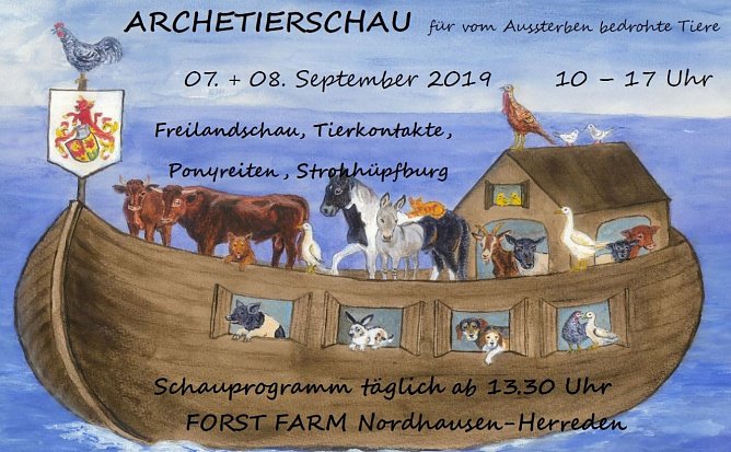 Grafik (Foto: privat)