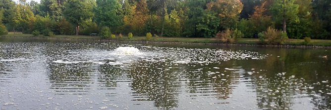 Bilanz zum Fischsterben (Foto: Karl-Heinz Herrmann)