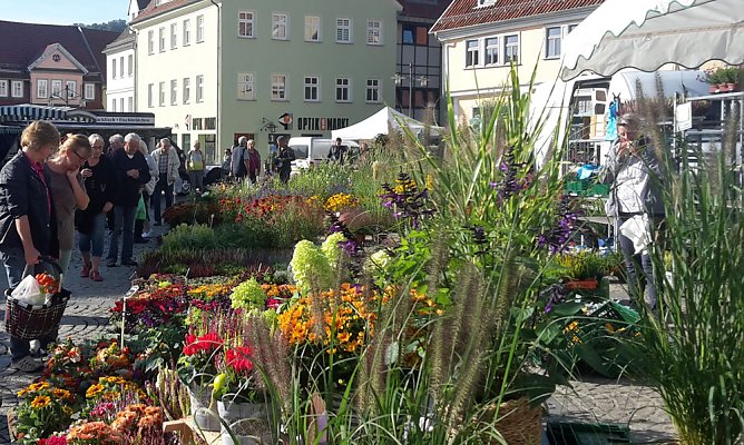 Pflanzen und Menschen in H&uuml;lle und F&uuml;lle (Foto: Karl-Heinz Herrmann)