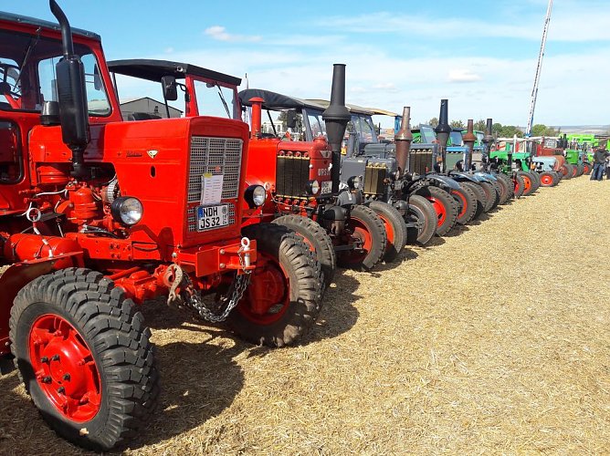 Von fliegenden Traktoren bis zur L&ouml;tlampe (Foto: Dr. Iris Martin-Gehl)