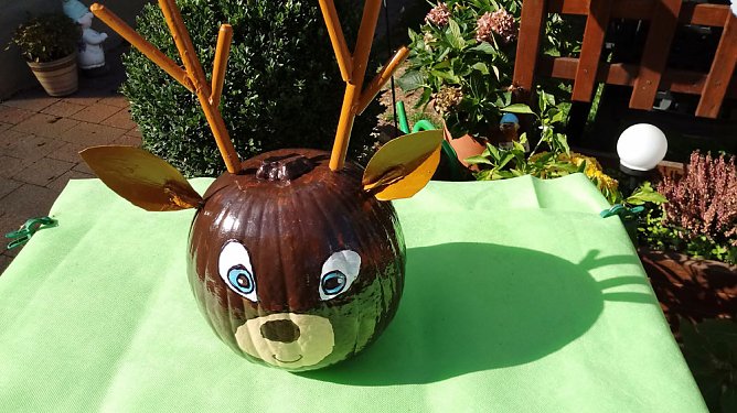 Kürbisse über Kürbisse (Foto: Jürgen Müller) Kürbisse über Kürbisse (Foto: Jürgen Müller)