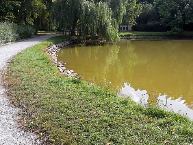 Der Trockenheit geschuldet (Foto: Karl-Heinz Herrmann) Der Trockenheit geschuldet (Foto: Karl-Heinz Herrmann)