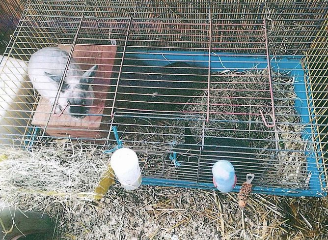 Wer erkennt die Taschen? (Foto: Polizei)