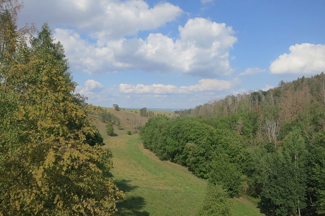 Feierliche Einweihung der H&auml;ngeseilbr&uuml;cke im B&auml;rental in der Hohen Schrecke (Foto: Regionalmanagement Hohe Schrecke c/o IPU GmbH und Landratsamt Kyffh&auml;userkreis.)