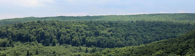 Waldwildnis bremst Tourismus aus? (Foto: Karl-Heinz Herrmann)