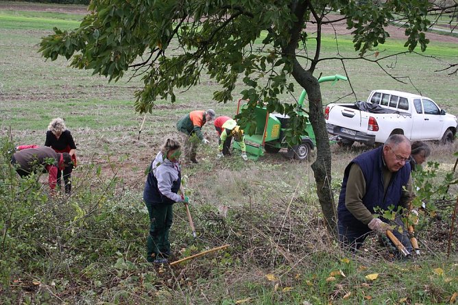 Aktionstag Landschaftspflege (Foto: Sabine Pusch)
