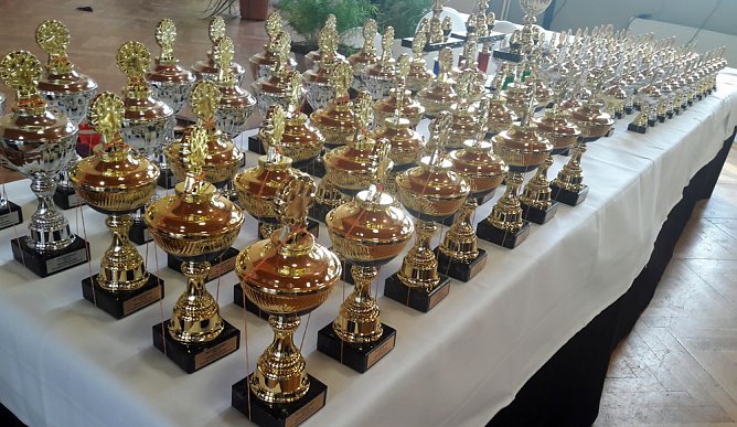 &Uuml;ber 90 Hunde bewarben sich auf Ausstellung in Trebra um Pokale (Foto: Ingo Linsel)