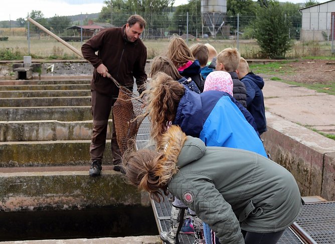 Projekttage bei der Fischzucht Auleben (Foto: Silke Schulze)