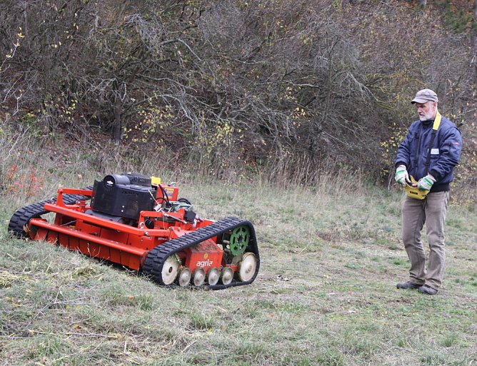 Gelungene Pflegeaktion in Bad Frankenhausen (Foto: Sabine Pusch)