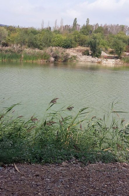 Der Wasserstand steigt (Foto: Steffen Kambach) Der Wasserstand steigt (Foto: Steffen Kambach)