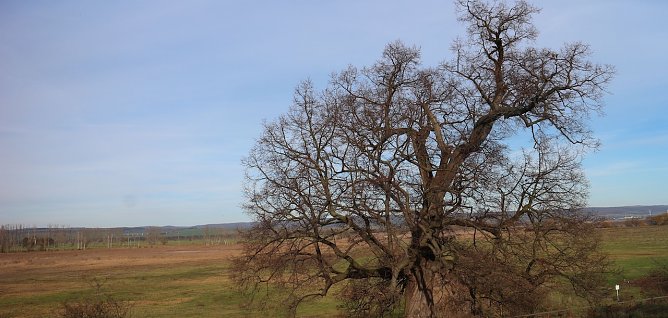 Wetter (Foto: AGL) Wetter (Foto: AGL)