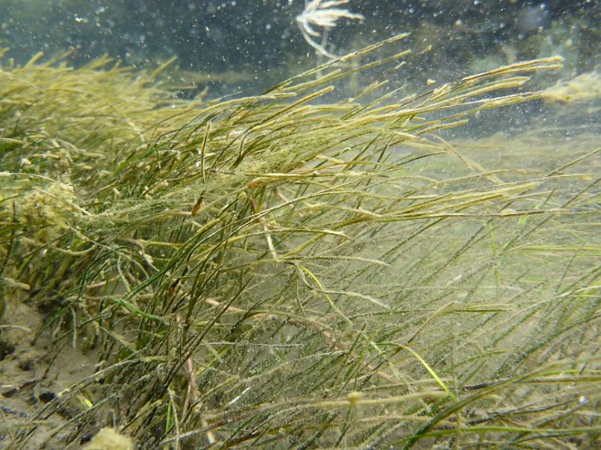 Baumaßnahmen am Solgraben in Artern sind gestartet (Foto: LPV) Baumaßnahmen am Solgraben in Artern sind gestartet (Foto: LPV)