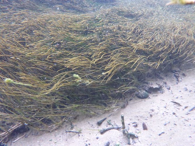 Baumaßnahmen am Solgraben in Artern sind gestartet (Foto: LPV) Baumaßnahmen am Solgraben in Artern sind gestartet (Foto: LPV)