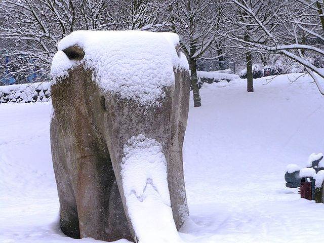 Winter im Borntal (Foto: Hans-J&uuml;rgen Schmidt)