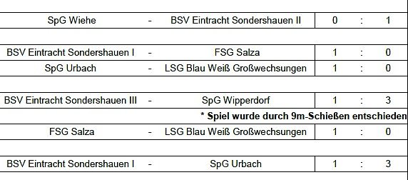 Endstand Kreismeisterschaft im Hallenfußball der Junioren (3) (Foto: NTKFA) Endstand Kreismeisterschaft im Hallenfußball der Junioren (3) (Foto: NTKFA)