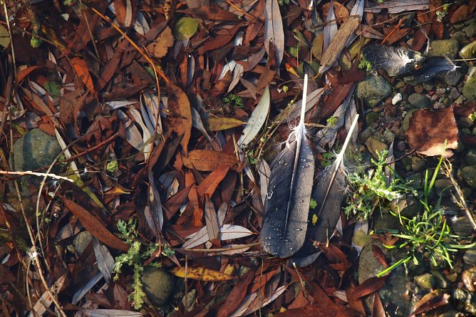 Wetterbild (Foto: Angelo Glashagel)