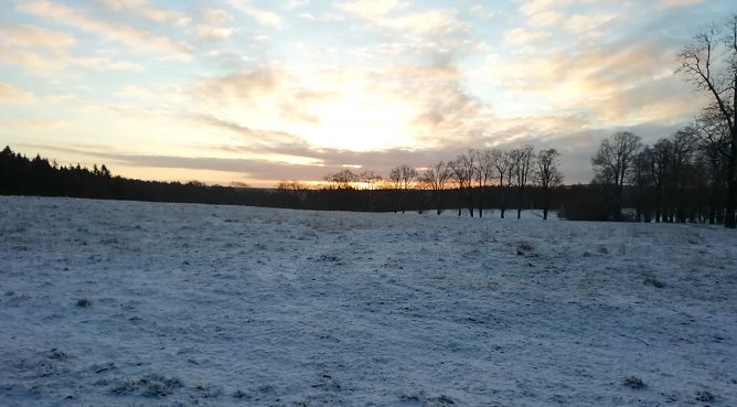 winterwetter sophienhof (Foto: W.Jörgens) winterwetter sophienhof (Foto: W.Jörgens)