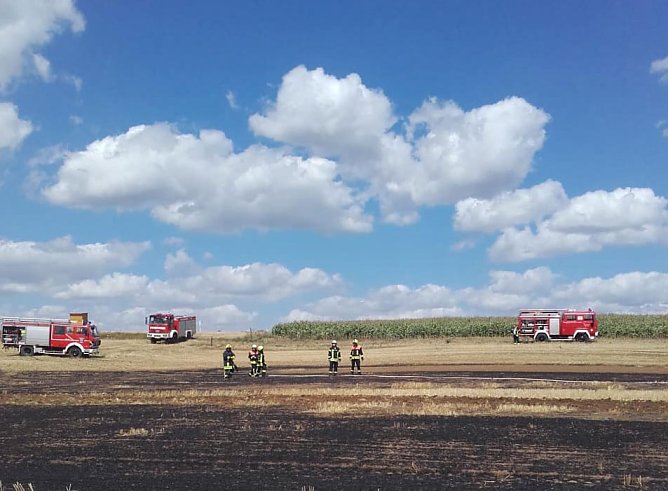 Kameradschaft (Foto: Manuel W&ouml;lbing)